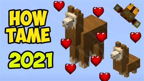How to put a saddle on a llama in minecraft 20